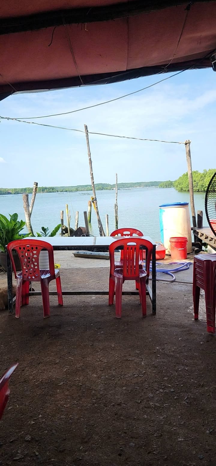 Đất nền Cảng đóng tàu Mỹ Xuân, Phú Mỹ, 50,3ha - Cơ hội đầu tư lý tưởng!