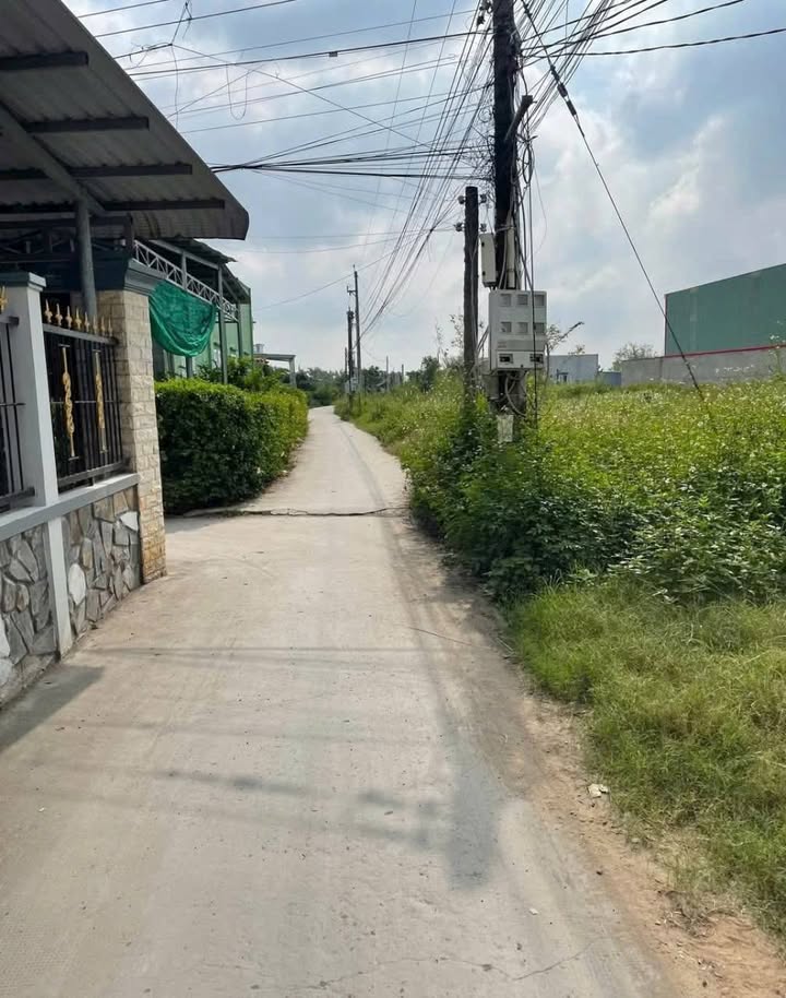 Đất thổ cư 492m² tại Mỹ Lệ, Cần Đước - Giá chỉ 1.6 tỷ - Vị trí đẹp, thuận tiện!