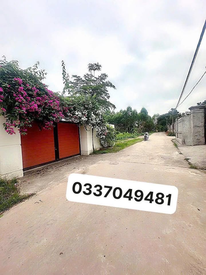 Đất nền Ngọc Châu Tân Yên 175m² giá chỉ 600 triệu - Đầu tư sinh lời ngay!