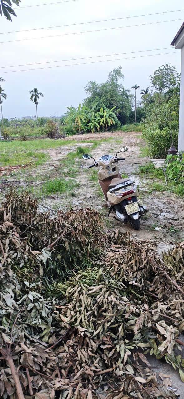 Đất nền phường Đồng Thái, An Dương 62m² giá 900 triệu - Cơ hội đầu tư hấp dẫn!