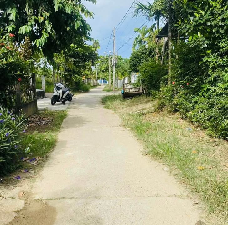 Đất nền Điện Minh - Điện Bàn 100m² chỉ 700 triệu - Nhanh tay sở hữu!