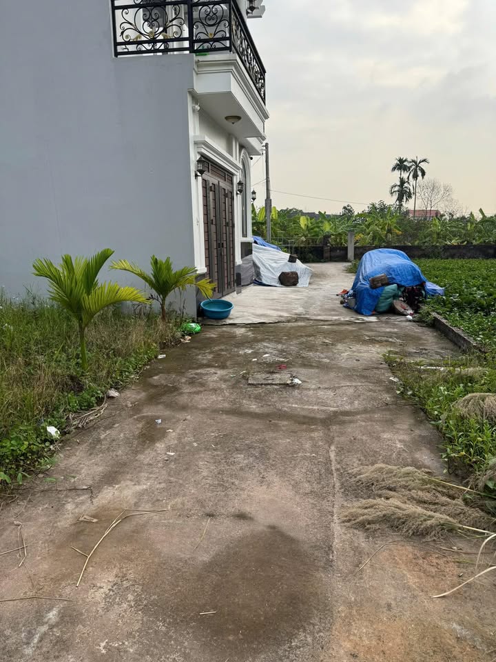 Đất Chương Lộc, Chương Dương, Thường Tín 56.5m² giá hơn 2 tỷ - Đầu tư sinh lời ngay!