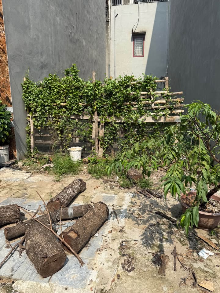 Đất nền khu tái định cư Trầm Cá Nam Định 43,2m² giá 2,179 tỷ - Hướng Đông Nam, vị trí thuận tiện