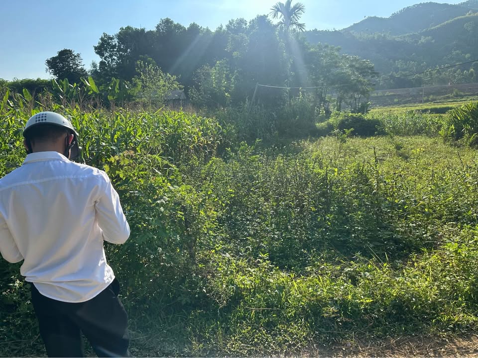 Đất nền An Tường Tuyên Quang 144m² giá 1 tỷ - Vị trí đẹp, tiềm năng phát triển!