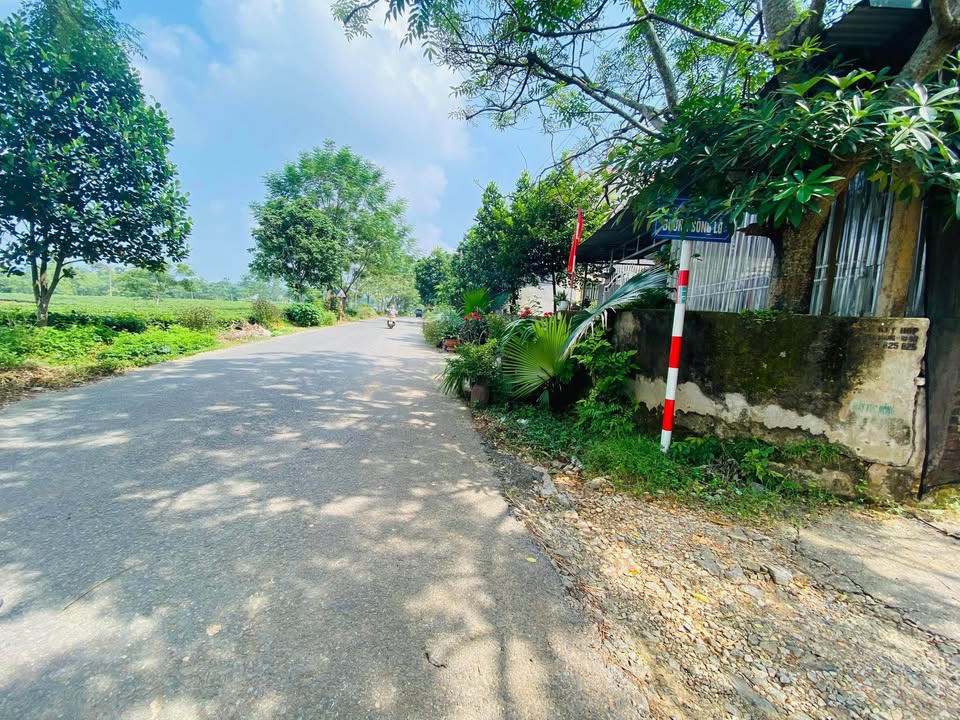 Đất nền thôn 17 An Tường 109m² giá 1.28 tỷ - Vị trí đắc địa gần viện lao phổi!