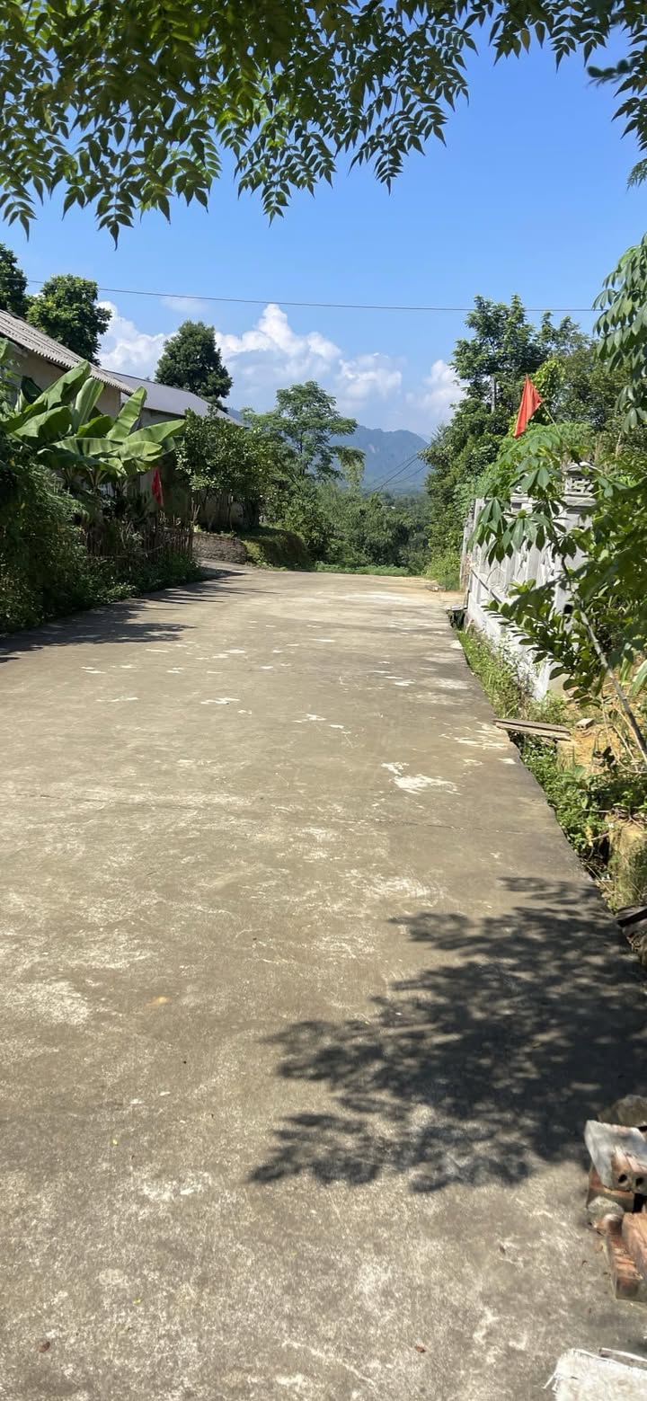 Đất nền 558m² tại xã Văn Bán, Cẩm Khê - Giá chỉ 799 triệu, sẵn sàng giao dịch ngay!