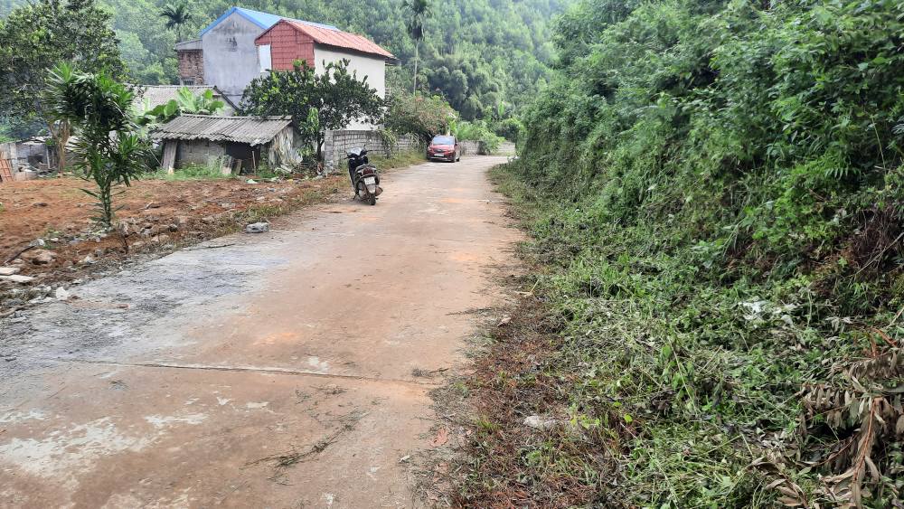 Đất thổ cư 100m² tại Tân Hòa, Hòa Bình giá 1 tỷ - Đầu tư sinh lời ngay!