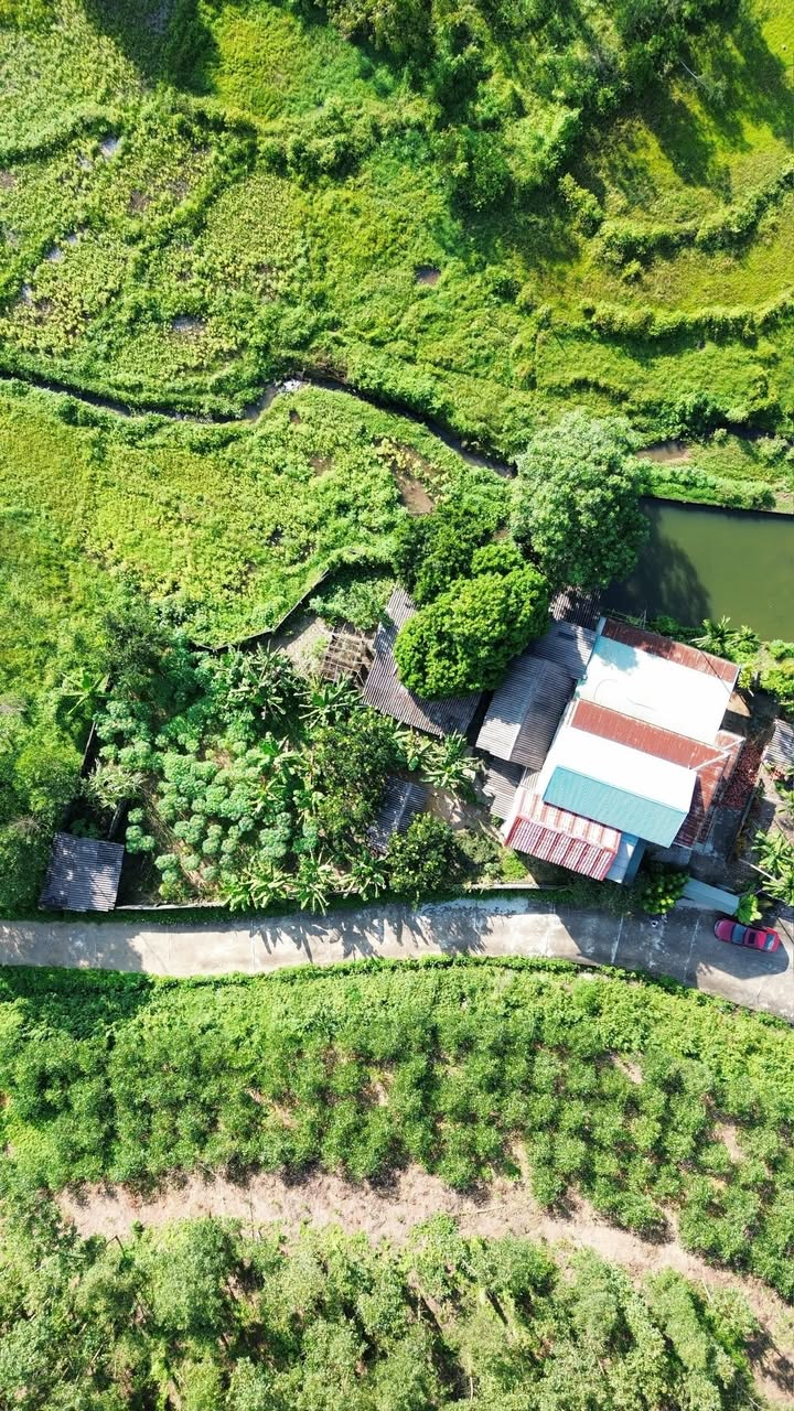 Đất nền Tân Hòa Hòa Bình 530m², mặt tiền 23m - Cơ hội đầu tư sinh lời!