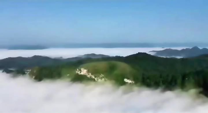 Farm 21ha tại Yến Lạc, Na Rì, Bắc Kạn giá chỉ 850 triệu - Cơ hội đầu tư tuyệt vời!