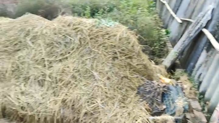 Đất thổ cư 101m² tại thôn Đức Hậu, xã Thanh Lâm, giá 4 tỷ - Đường ô tô thông thoáng!