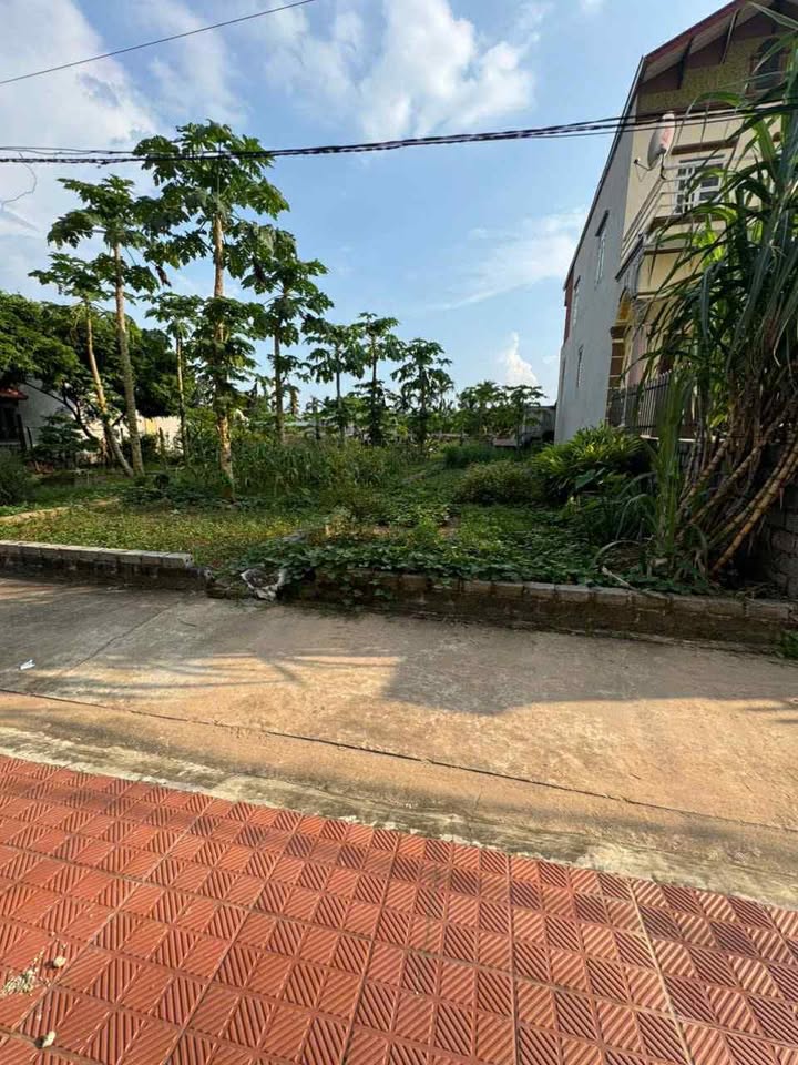 Đất nền Hồng Vân - Thường Tín 200m² giá chỉ 5.6 tỷ - Đường thông ô tô 7 chỗ