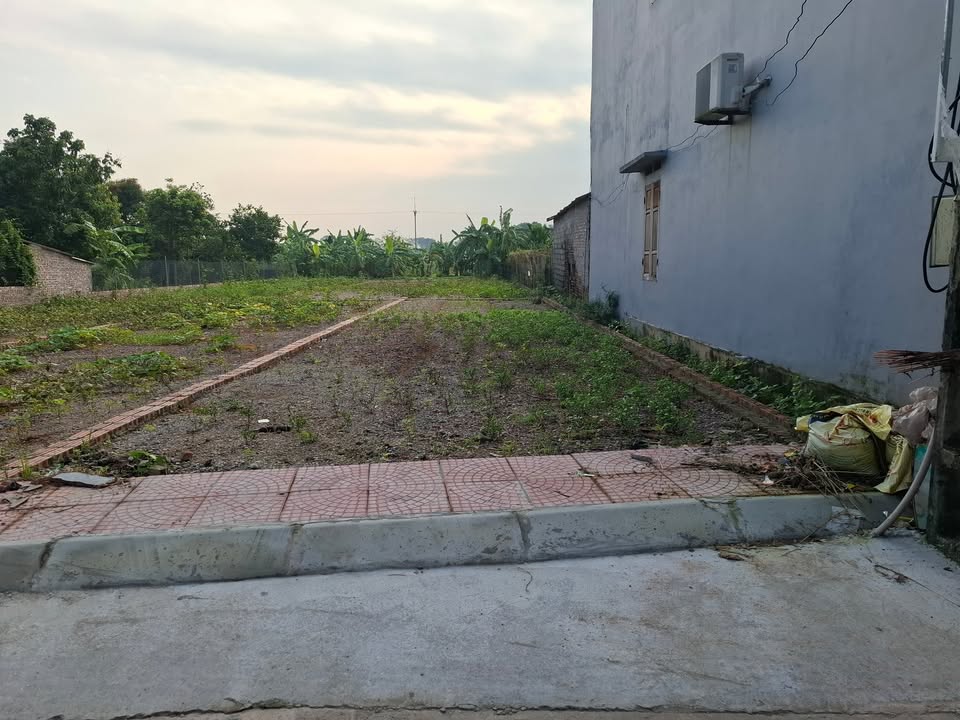 Đất nền thôn Bột Xuyên, xã Phúc Sơn, 110.5m² giá 2.21 tỷ - Đường ô tô tránh nhau, kinh doanh thuận lợi!