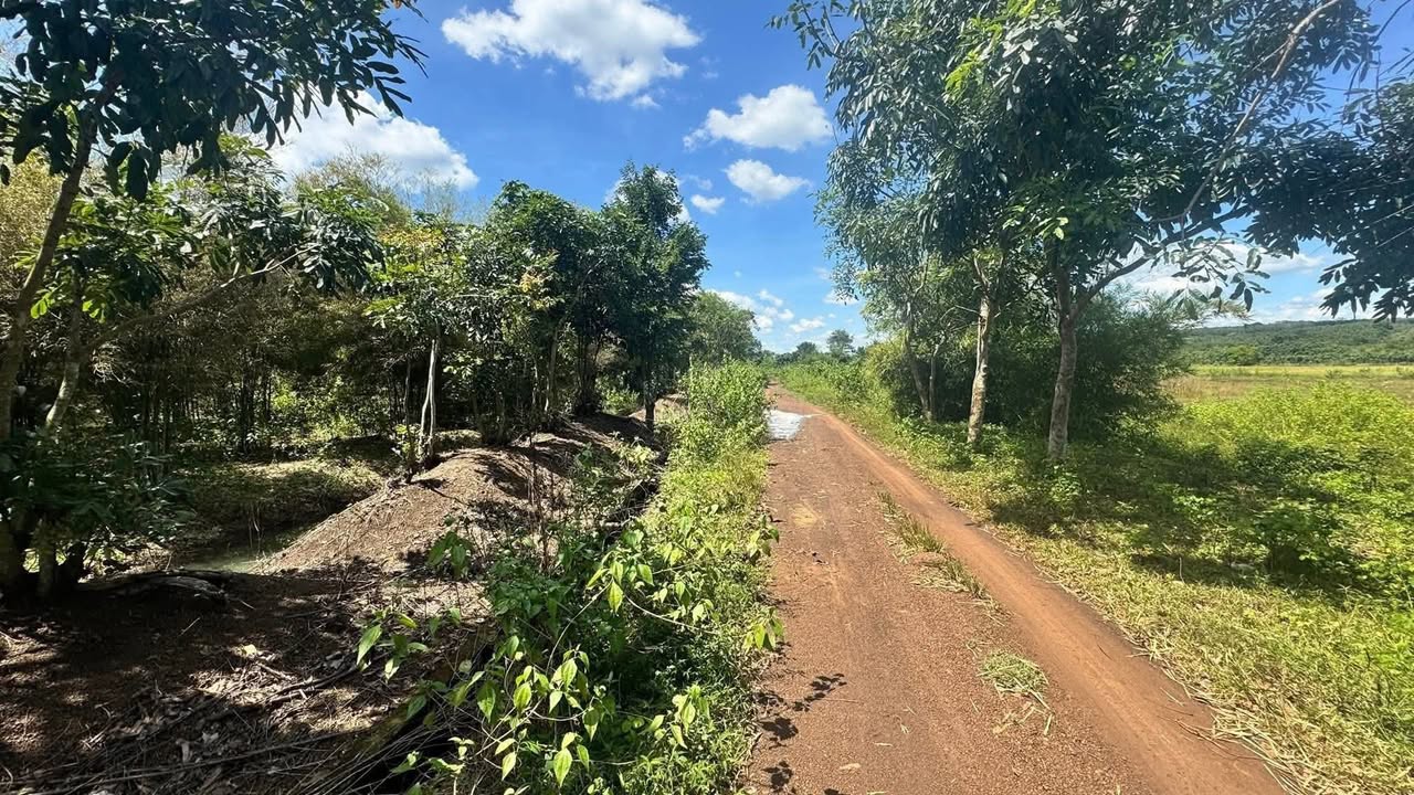 Đất ruộng An Khương Hớn Quản 14,000m² giá 1.2 tỷ - Đường xe tải vào tận nơi!