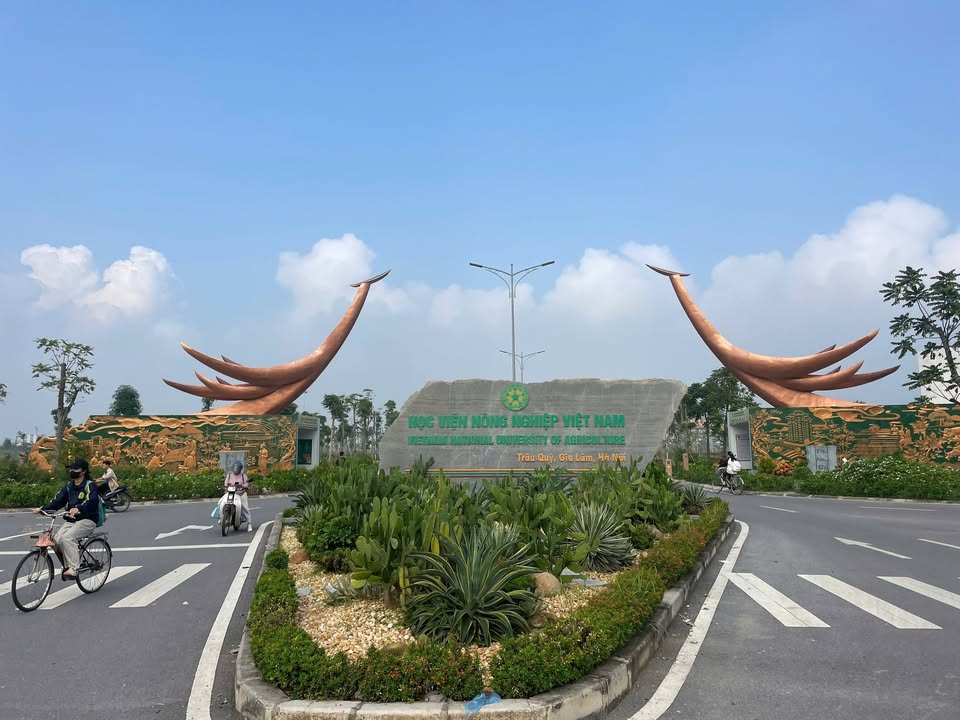 Căn hộ 44m² tại Trâu Quỳ, Gia Lâm, Hà Nội - Phong thủy tốt, giá chỉ 1 tỷ!