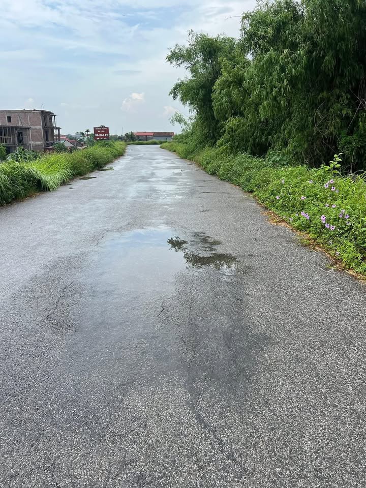 Đất nền xã Chân Lý Lý Nhân 337m² chỉ 1xx triệu - Đầu tư sinh lời ngay!