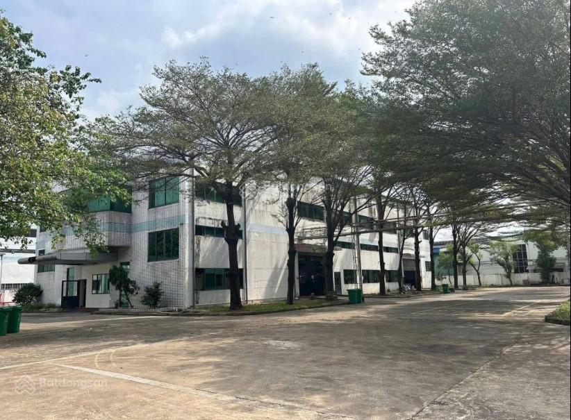 Cho thuê xưởng 11.000m² KCN VSIP1, Thuận An - Giá thuê chỉ 6.5 USD/m²