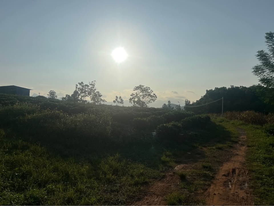 Đất Phúc Xuân, TP Thái Nguyên 800m² giá 2.5 tỷ - Đầu tư hấp dẫn!