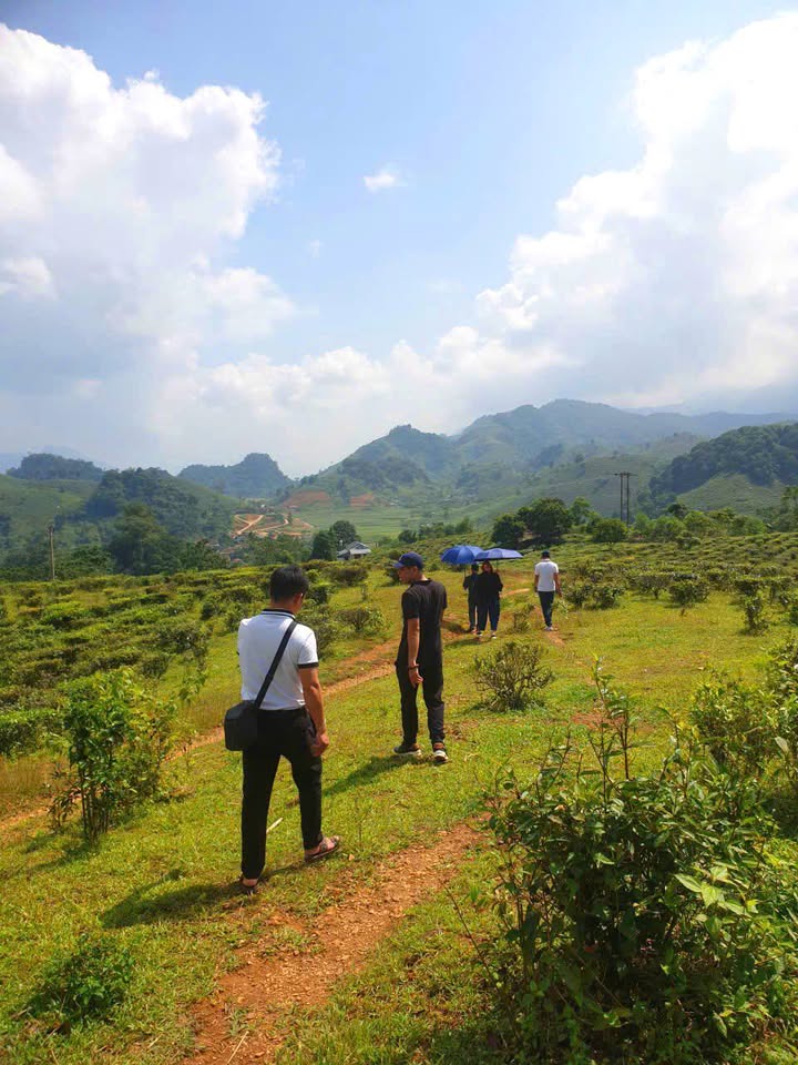 Đất dự án nghỉ dưỡng tại Vân Hồ 6,5ha giá 36 tỷ - Tiềm năng sinh lời cao!