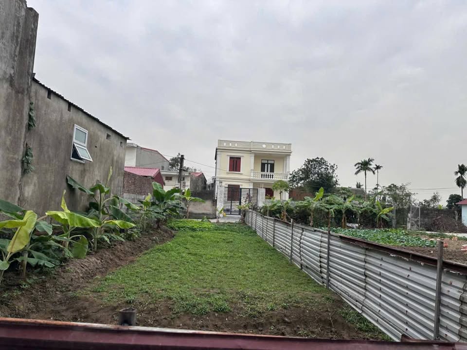 Đất thổ cư Hòa Liễu - Kiến Thụy 110m² giá đầu tư - Tiềm năng sinh lời cao!