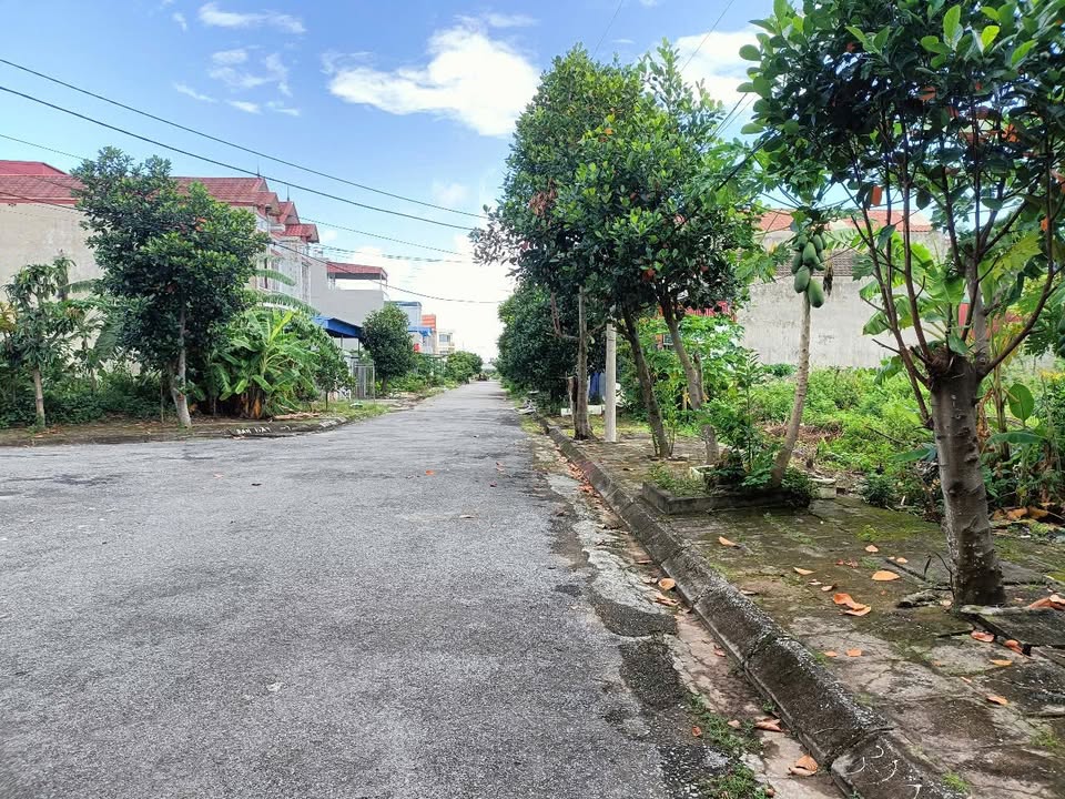 Đất nền Hòa Nghĩa Dương Kinh 100m² giá chỉ 2 tỷ - Vị trí vàng gần Vinhomes!