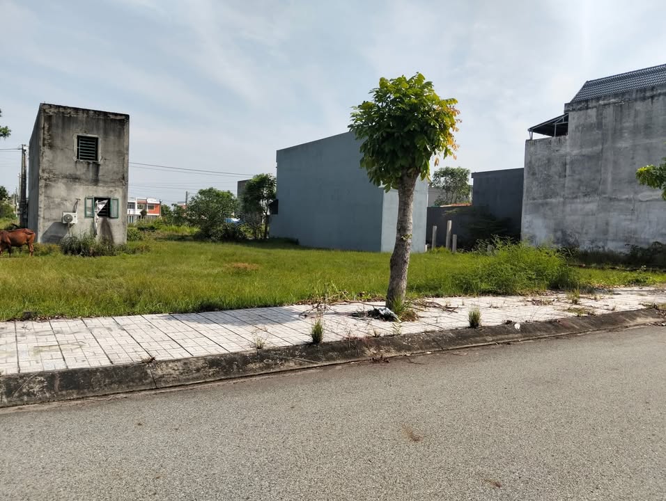 Đất nền mặt tiền đường nhựa TC5, KDC Cát Tường Phú Sinh 100m² - Giá chỉ 1.45 tỷ!