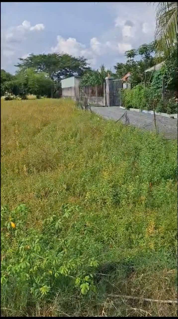 Đất Mỹ Hạnh Nam 1850m² giá 5.5 tỷ - Đầu tư sinh lời ngay!