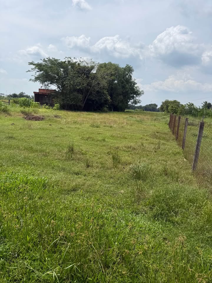 Đất nền xã Mỹ Hạnh Nam, Đức Hòa 144m² giá 790 triệu - Sổ hồng chính chủ!