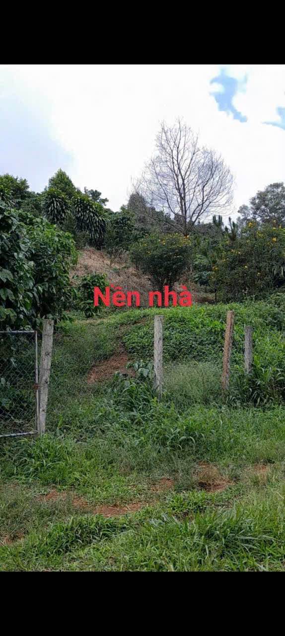 Đất nền Lộc Ngãi Bảo Lâm 1700m² giá chỉ 880 triệu - Cơ hội đầu tư tuyệt vời!