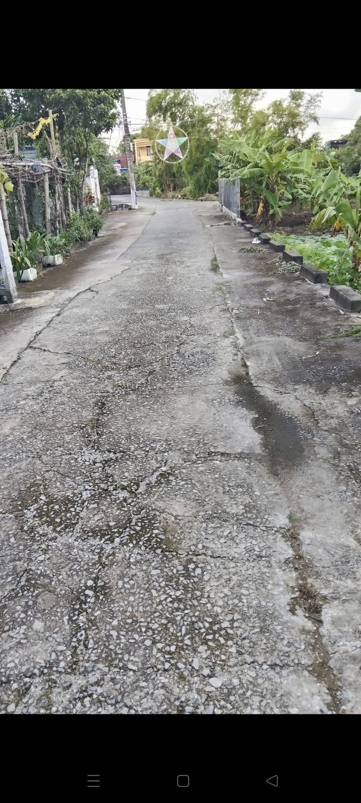 Đất nền chính chủ tại phường Thành Nam, Nam Định 300m² - Tiềm năng đầu tư lớn!