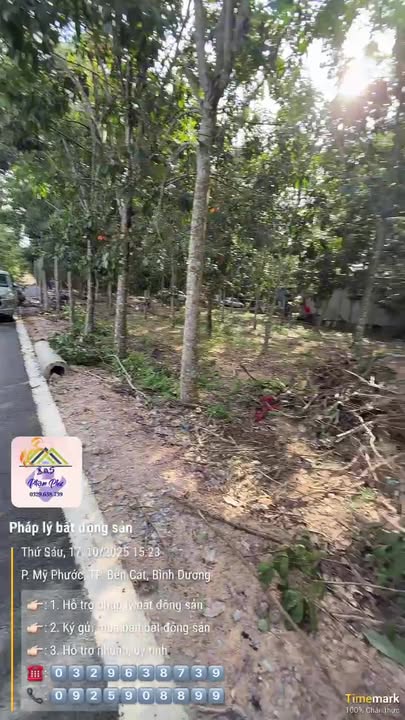 Đất nền lô góc Bến Cát 316m² giá 2.6 tỷ - Cơ hội đầu tư tuyệt vời!