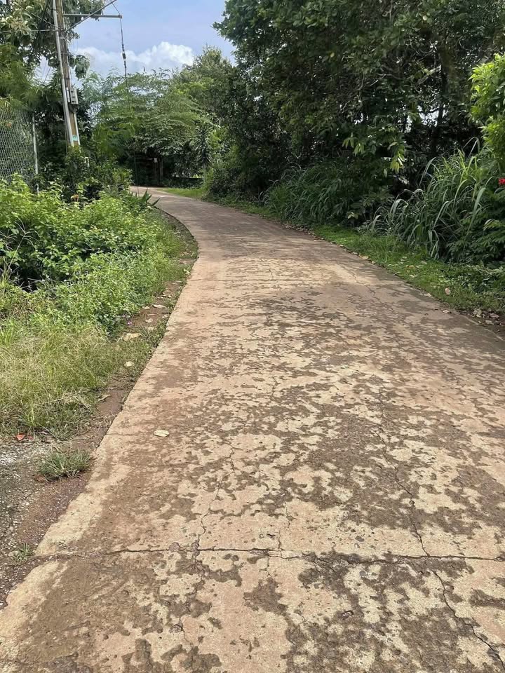 Đất thổ cư Xuân Trường 362m² giá 600 triệu - Xây dựng tự do ngay!