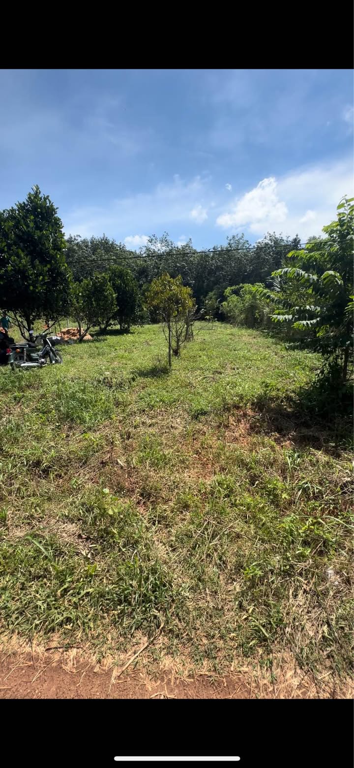 Đất nền Long Hòa Tân Uyên 100m² giá 1.15 tỷ - Đầu tư thông minh!