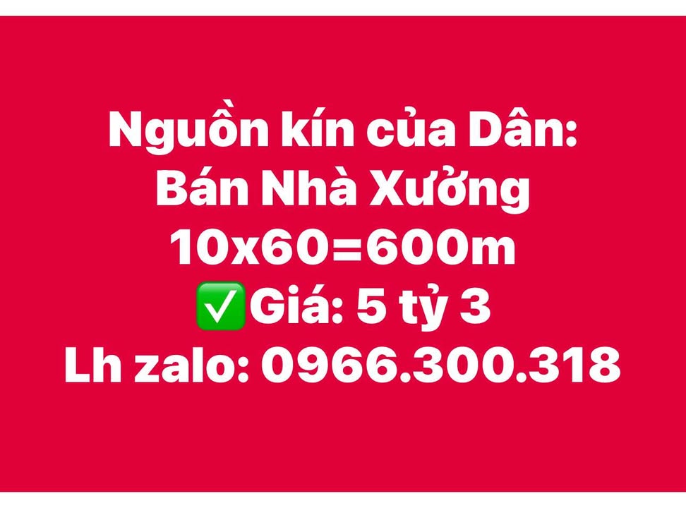 Nhà xưởng 600m² đường Tân Hiệp 01, Tân Uyên - Giá chỉ 5.3 tỷ