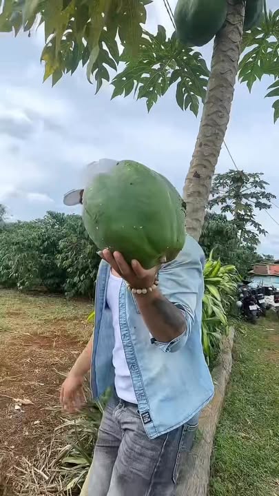 Đất đẹp Lộc Phú Bảo Lâm 1ha1 - Cơ hội đầu tư hấp dẫn!