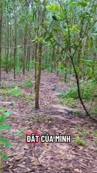 Đất thổ cư Xuân Bắc, Xuân Lộc 60000m² giá 5.4 tỷ - Cơ hội đầu tư sinh lời!