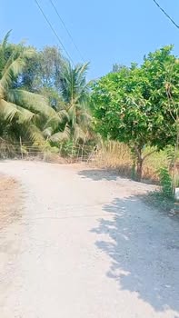 Lô đất thổ vườn 250m² tại Hựu Thạnh, Đức Hòa - Giá chỉ 1.1 tỷ, cơ hội đầu tư tuyệt vời!