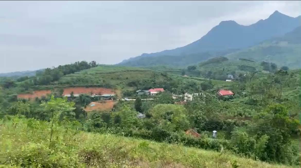 Đất thổ cư 1800m² xã Tiến Xuân Thạch Thất - View triệu đô, giá rẻ bất ngờ!