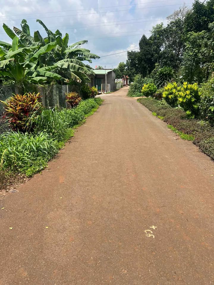 Đất thổ cư Bàu Chinh, Châu Đức 144m² giá 510 triệu - Cơ hội đầu tư tuyệt vời!