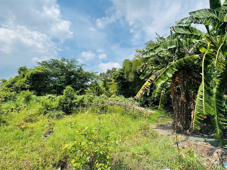 Đất nền Đức Hòa Đông 105m² giá 920 triệu - Đường rộng, dân cư đông đúc!