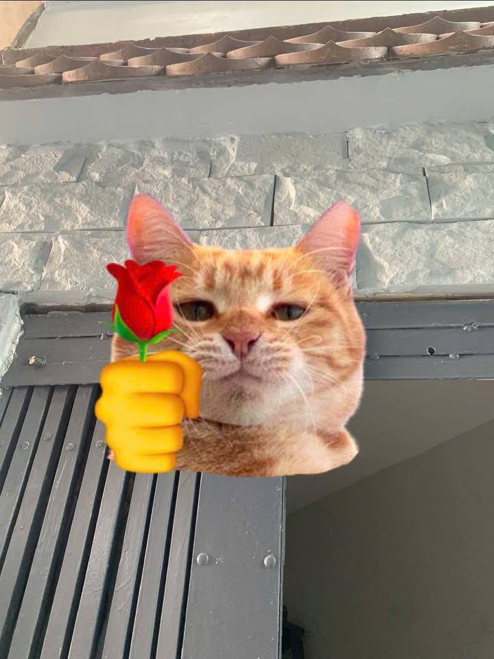 Nhà cho thuê đường Hoài Thanh, quận 8, 8m² - Nhà mới, vào ở ngay!