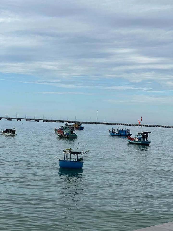 Đất ở Dương Tơ, Phú Quốc 500m² giá chỉ 3 tỷ - Cơ hội đầu tư tuyệt vời!