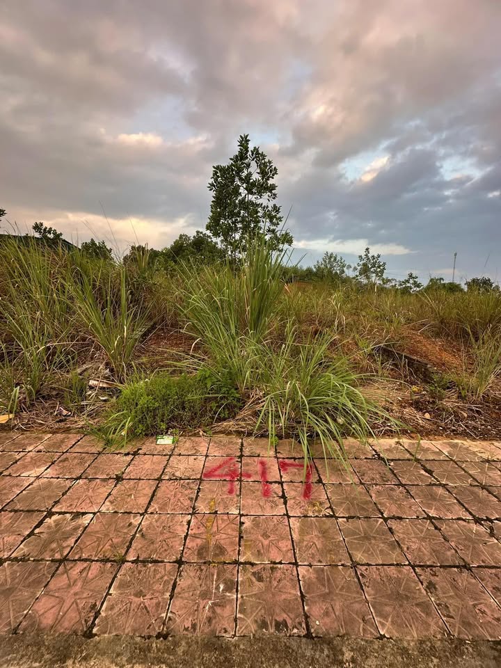 Đất thổ cư 100m² TĐC Cty May Âu Lâu VT1 - Giá 1.6 tỷ, kinh doanh thuận lợi!