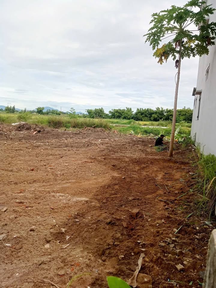 Đất nền Thanh Hà Hội An 100m² giá tốt - Mảnh đất lý tưởng cho đầu tư!