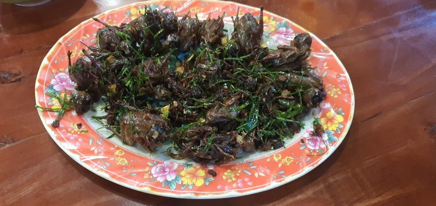 Đất nền kinh doanh 124m² tại Phước Bình, Quận 9 - Giá 16.5 tỷ - Đầu tư sinh lời ngay!