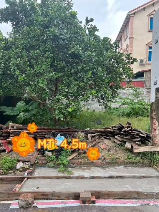 Đất nền Thọ Xuân Đan Phượng 56m² giá 3 tỷ - Mặt tiền đẹp, vị trí thuận lợi!