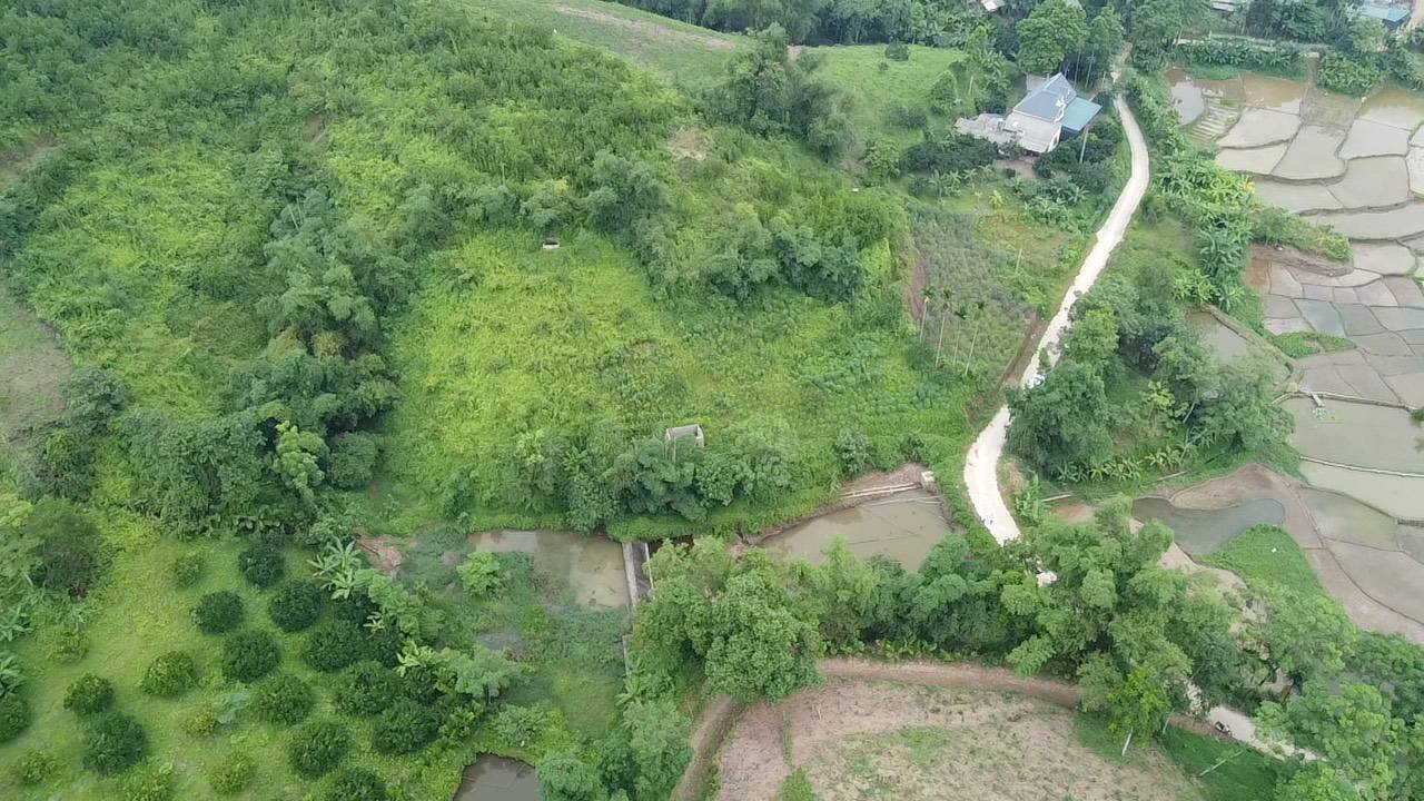 Đất Farm 2.128m² tại Tân Lạc, Hòa Bình - View núi tuyệt đẹp, đầu tư sinh lời cao!