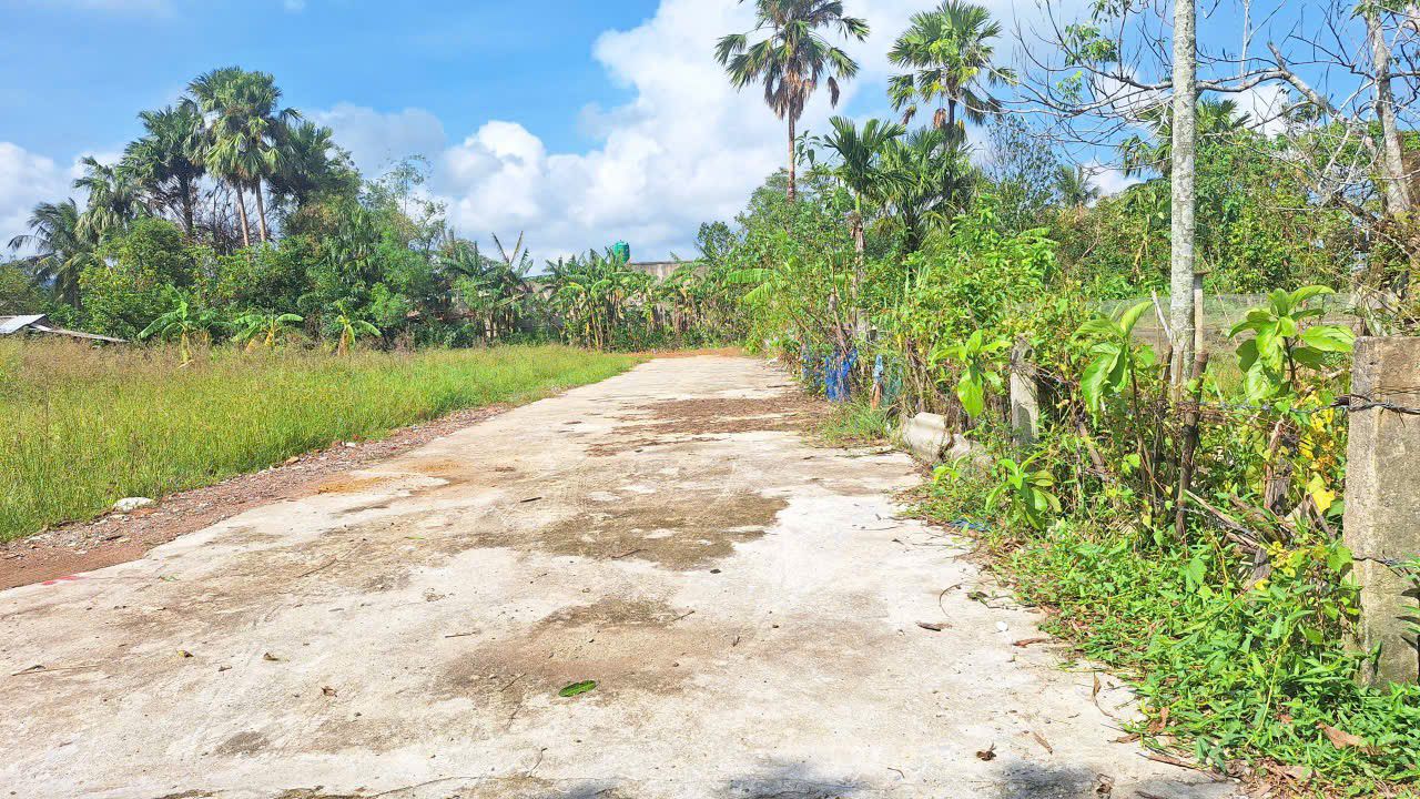 Đất thổ cư Tân Lâm Hương 117,6m² giá chỉ 900 triệu - Lô góc tiềm năng đầu tư!