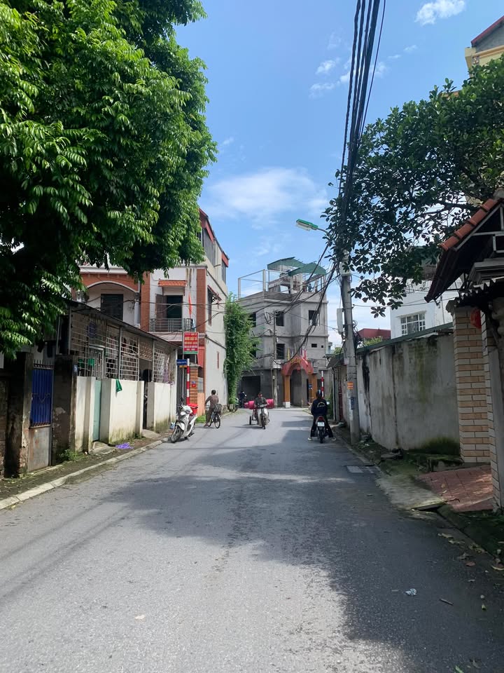 Đất Cổ Bi Gia Lâm 48m² giá 3 tỷ - Đường ô tô vào tận nơi!