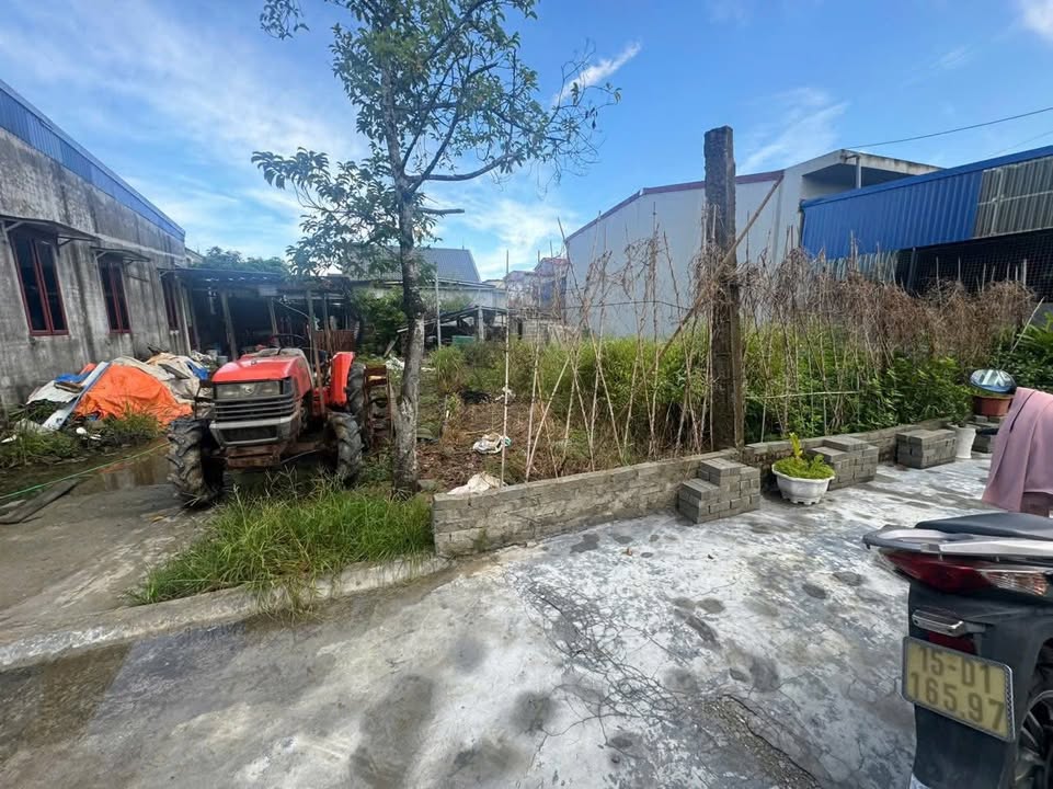 Đất nền An Thắng, An Lão 100m² giá chỉ 800 triệu - Cơ hội đầu tư tuyệt vời!