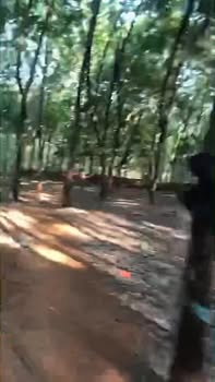 Farm 5ha tại xã Ia Lang, Đức Cơ giá chỉ 4 tỷ - Đường ô tô vào tận nơi!